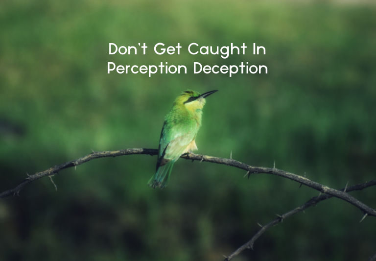 Don’t Get Caught in Perception Deception