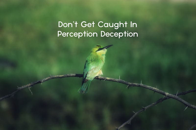Don’t Get Caught in Perception Deception