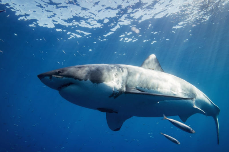 Knocking Down Imaginary Walls