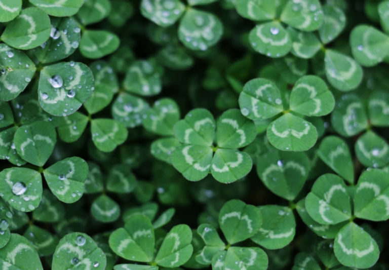 The Best Way To Get Lucky Is To Prepare For It