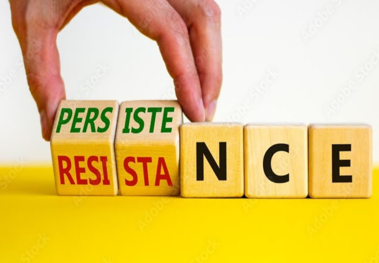 Persistence To Success