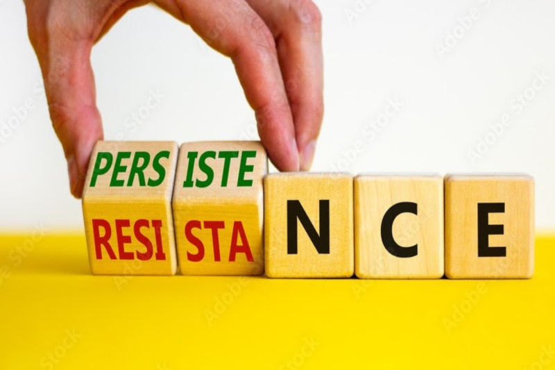 Persistence To Success