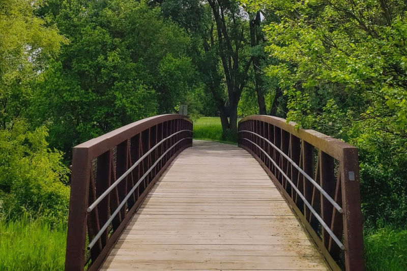 Bridge