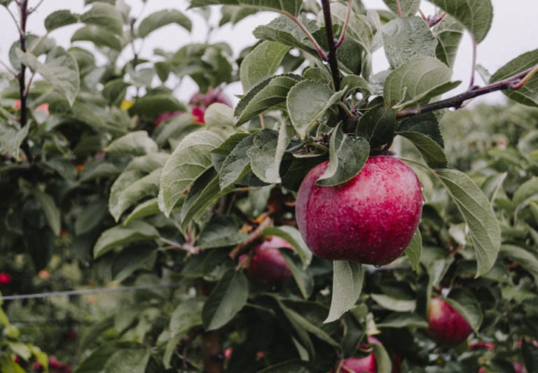 Person Who Hesitates