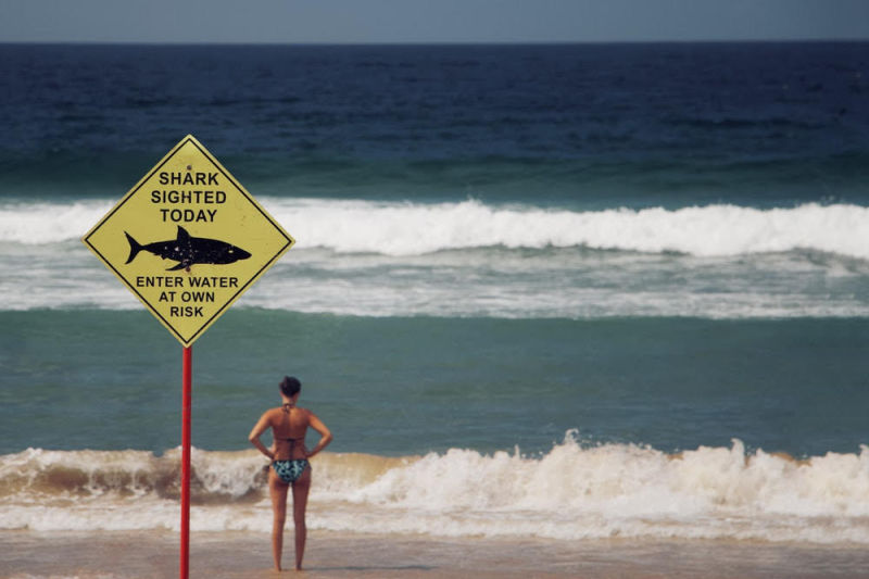 Taking A Risk
