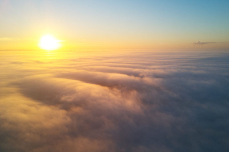 Wisdom is Sunlight